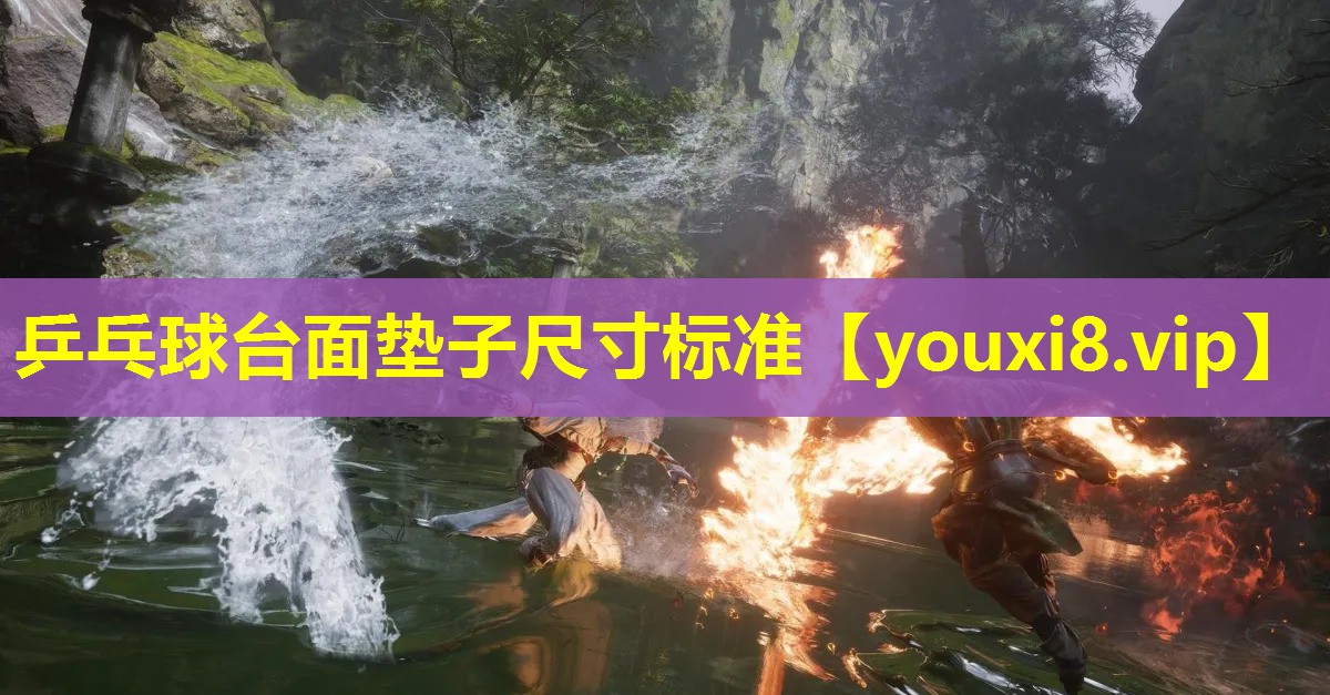乒乓球臺面墊子尺寸標(biāo)準(zhǔn)