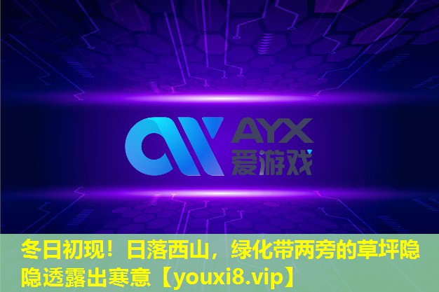 <strong>冬日初現！日落西山，綠化帶兩旁的草坪隱隱透露出寒意</strong>