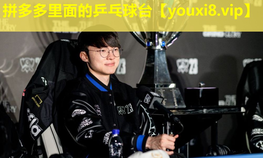 拼多多里面的乒乓球臺
