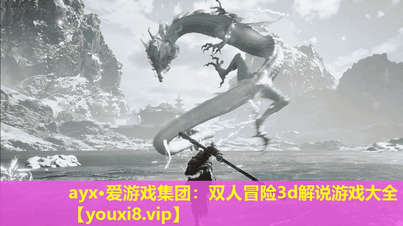 ayx·愛游戲集團：雙人冒險3d解說游戲大全