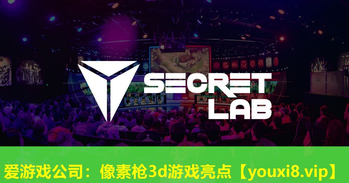 愛游戲公司：像素槍3d游戲亮點