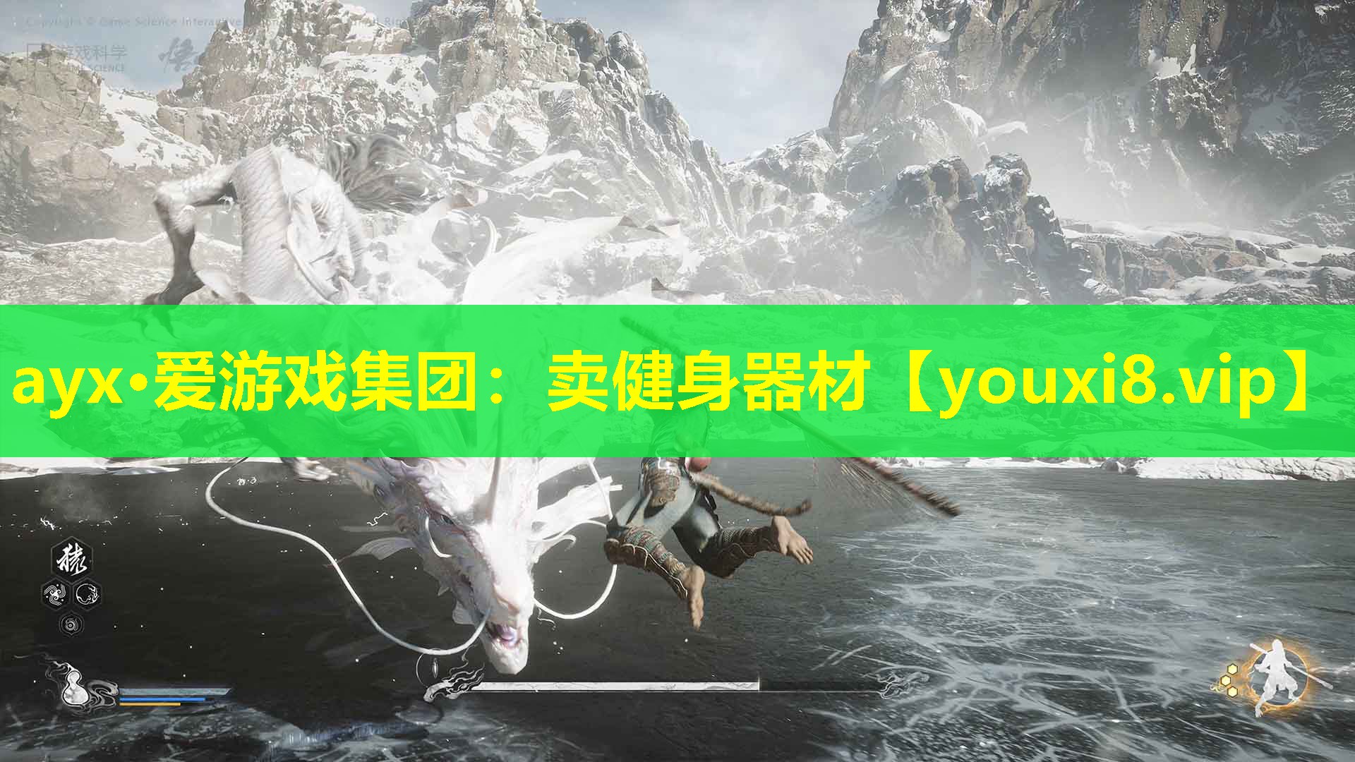 ayx·愛游戲集團：賣健身器材