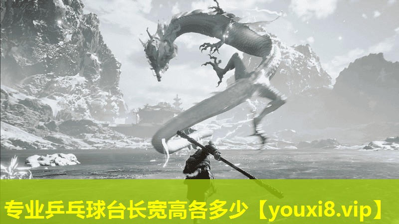 專業乒乓球臺長寬高各多少