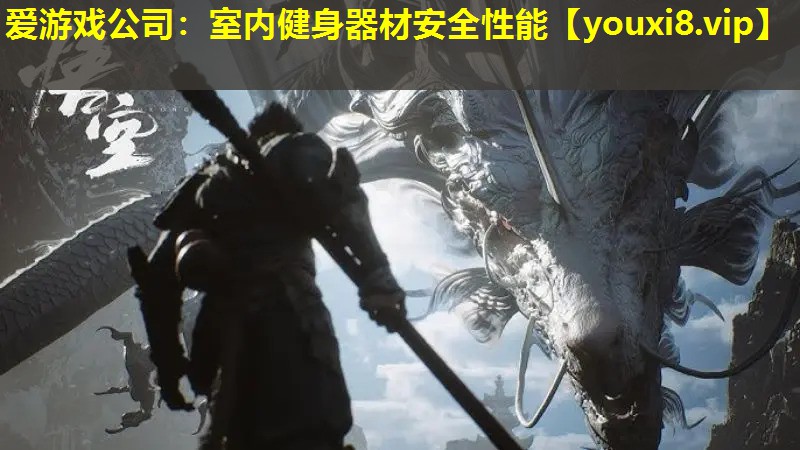 愛游戲公司：室內健身器材安全性能