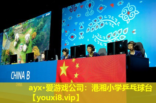 ayx·愛游戲公司：港湘小學(xué)乒乓球臺(tái)