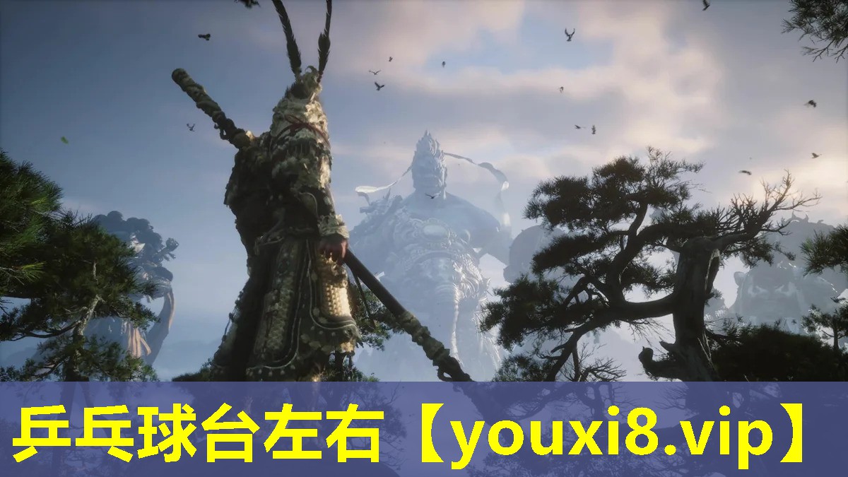 乒乓球臺(tái)左右