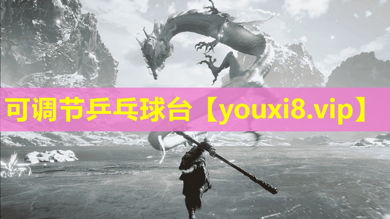 可調節乒乓球臺