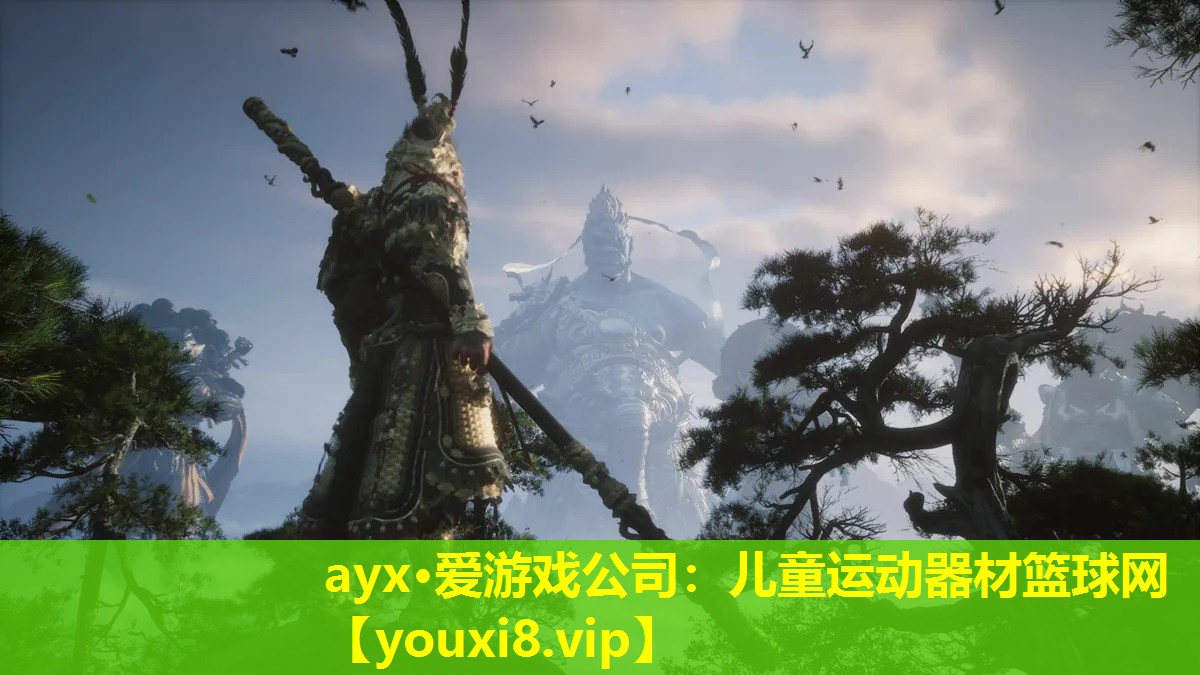ayx·愛游戲公司：兒童運動器材籃球網