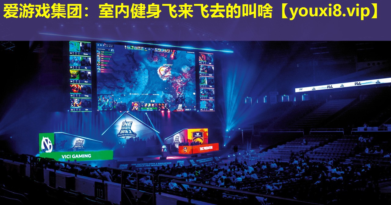 愛游戲集團：室內健身飛來飛去的叫啥