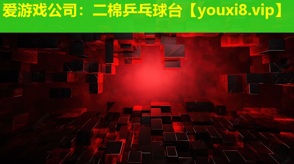愛游戲公司：二棉乒乓球臺