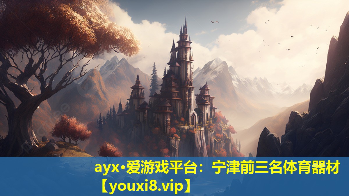 ayx·愛游戲平臺：寧津前三名體育器材