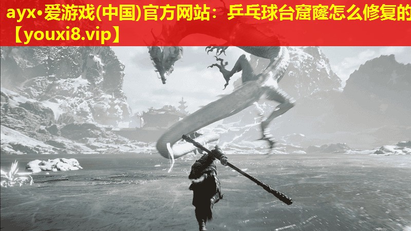 ayx·愛游戲(中國)官方網站：乒乓球臺窟窿怎么修復的