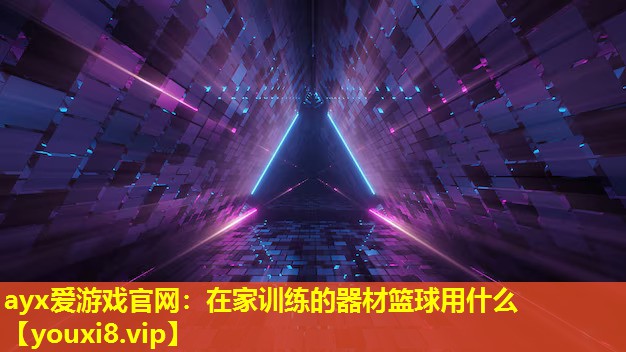 ayx愛游戲官網：在家訓練的器材籃球用什么