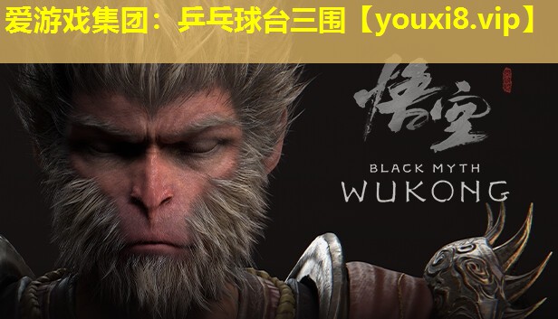 愛游戲集團(tuán)：乒乓球臺(tái)三圍