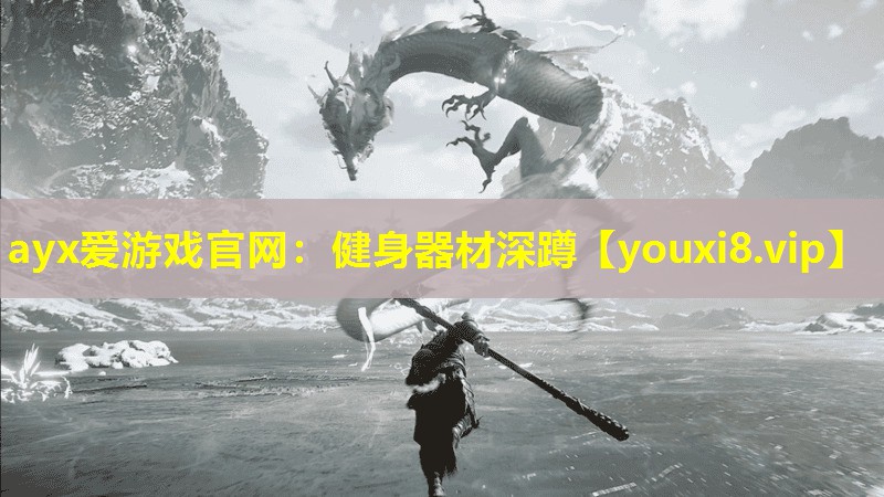 ayx愛游戲官網：健身器材深蹲