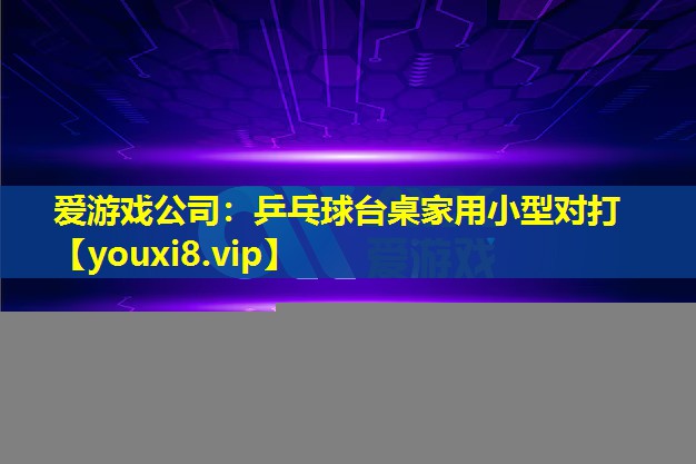 愛游戲公司：乒乓球臺桌家用小型對打