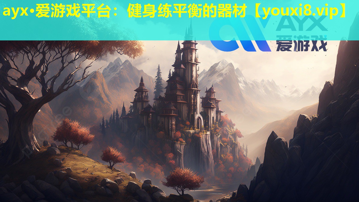 ayx·愛游戲平臺：健身練平衡的器材