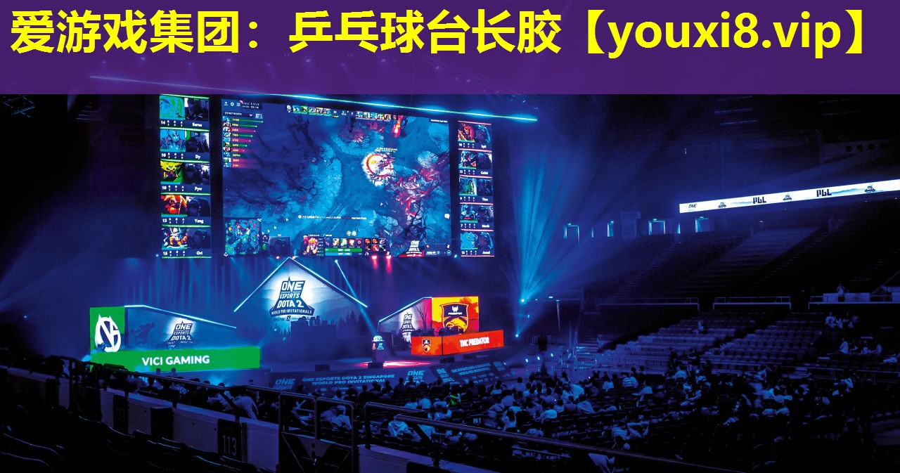 愛游戲集團：乒乓球臺長膠