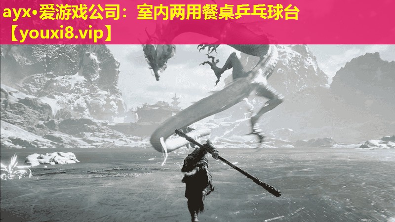ayx·愛游戲公司：室內兩用餐桌乒乓球臺