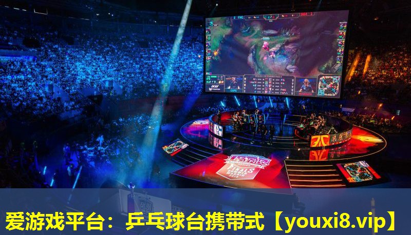 愛游戲平臺：乒乓球臺攜帶式