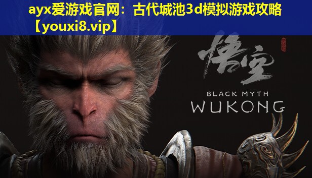 ayx愛游戲官網：古代城池3d模擬游戲攻略