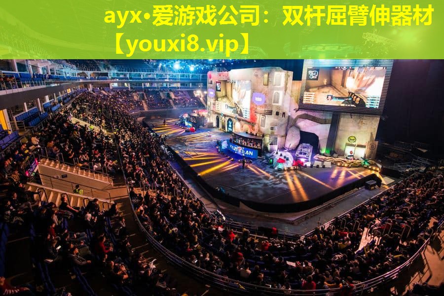 ayx·愛游戲公司：雙桿屈臂伸器材