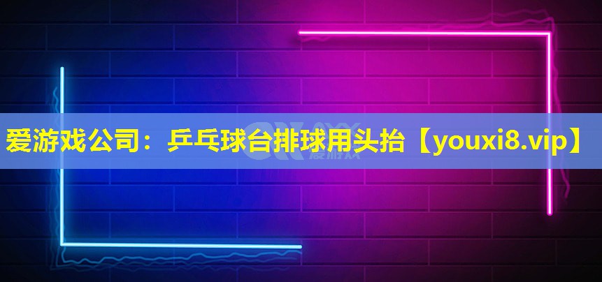 愛游戲公司：乒乓球臺排球用頭抬