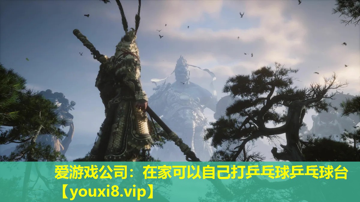 愛(ài)游戲公司：在家可以自己打乒乓球乒乓球臺(tái)