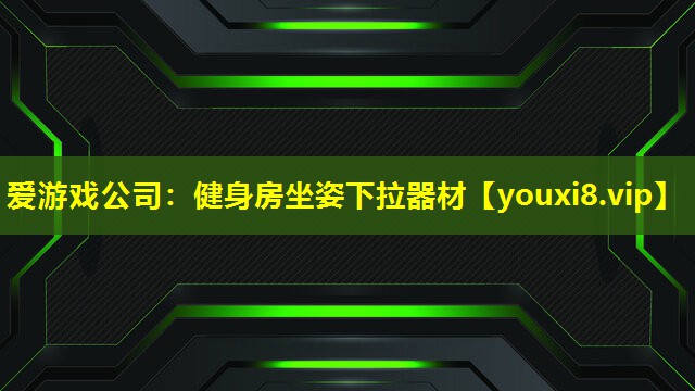 愛游戲公司：健身房坐姿下拉器材