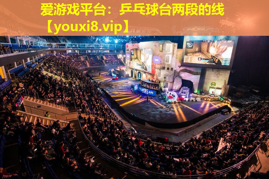 愛游戲平臺：乒乓球臺兩段的線