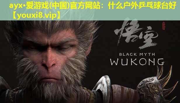 ayx·愛游戲(中國)官方網(wǎng)站：什么戶外乒乓球臺(tái)好