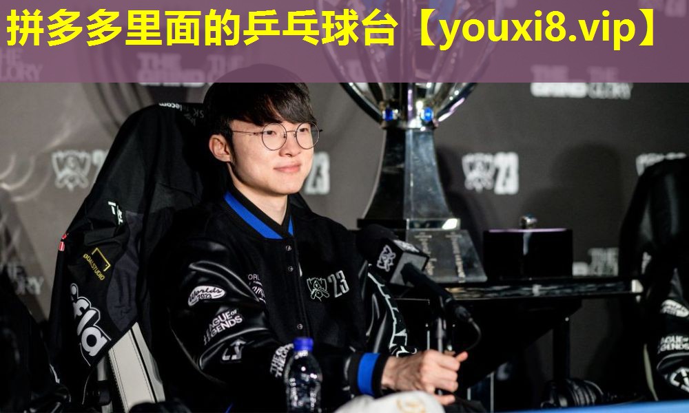 拼多多里面的乒乓球臺 拼多多里面的乒乓球臺
