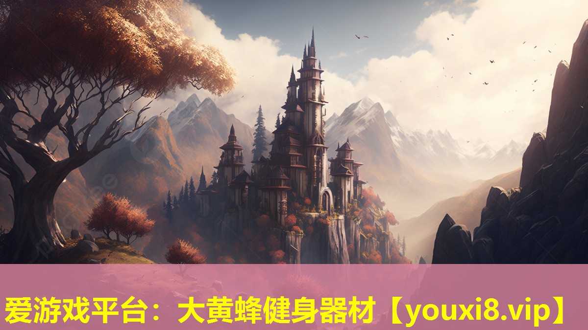 大黃蜂健身器材 大黃蜂健身器材