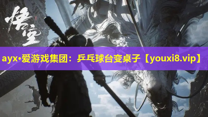 乒乓球臺變桌子 乒乓球臺變桌子