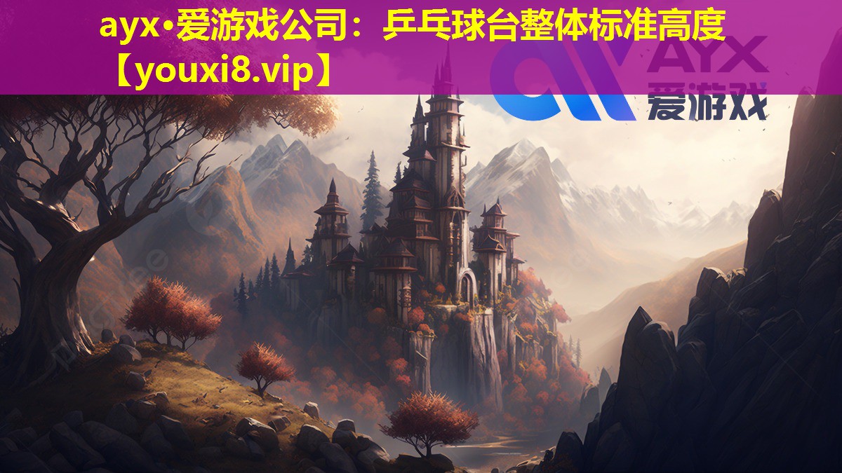 乒乓球臺整體標準高度