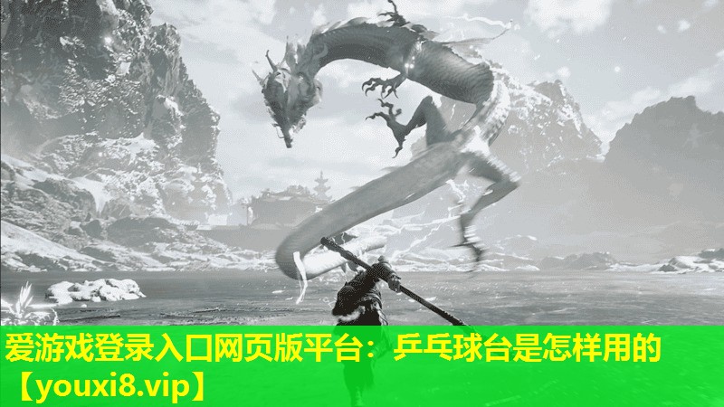乒乓球臺是怎樣用的 乒乓球臺是怎樣用的
