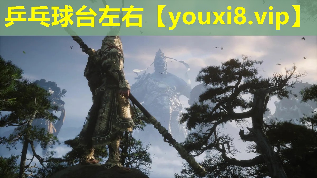 乒乓球臺(tái)左右 乒乓球臺(tái)左右