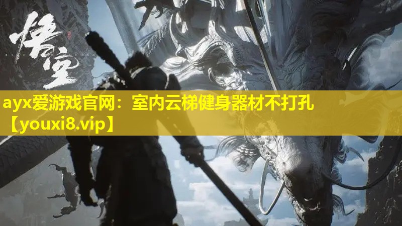 室內云梯健身器材不打孔 室內云梯健身器材不打孔