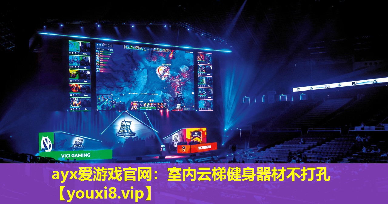 室內云梯健身器材不打孔 室內云梯健身器材不打孔
