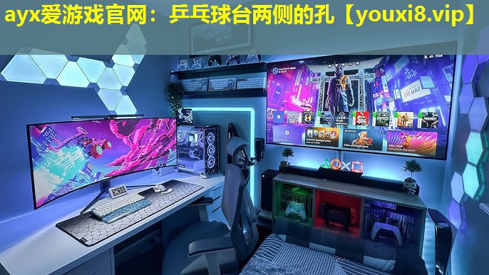 乒乓球臺兩側的孔 乒乓球臺兩側的孔