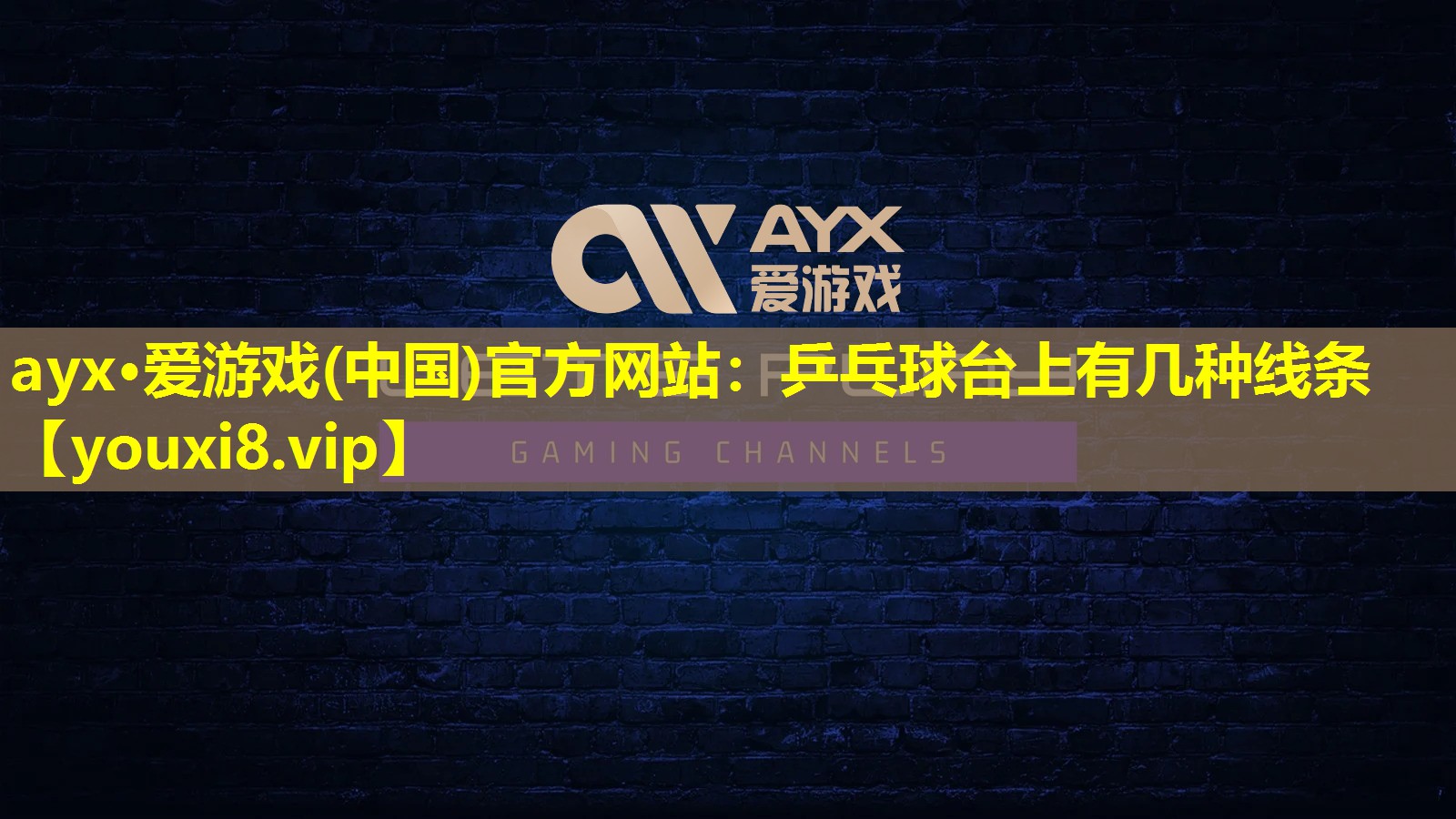 乒乓球臺上有幾種線條 乒乓球臺上有幾種線條
