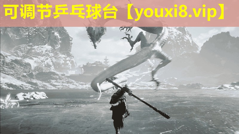 可調(diào)節(jié)乒乓球臺 可調(diào)節(jié)乒乓球臺