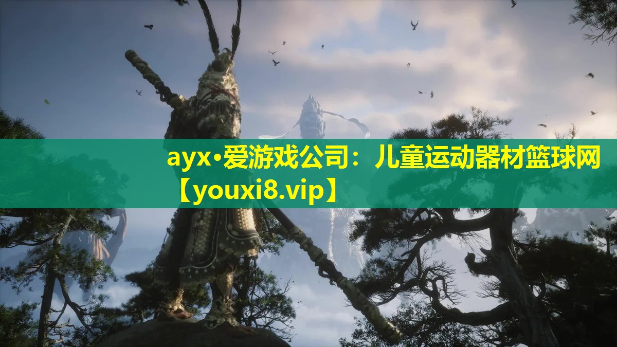 兒童運(yùn)動(dòng)器材籃球網(wǎng) 兒童運(yùn)動(dòng)器材籃球網(wǎng)
