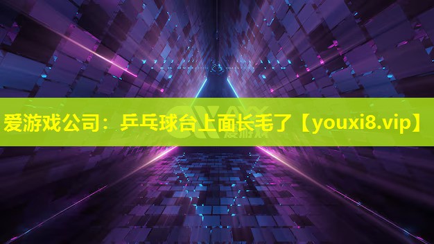 乒乓球臺上面長毛了 乒乓球臺上面長毛了