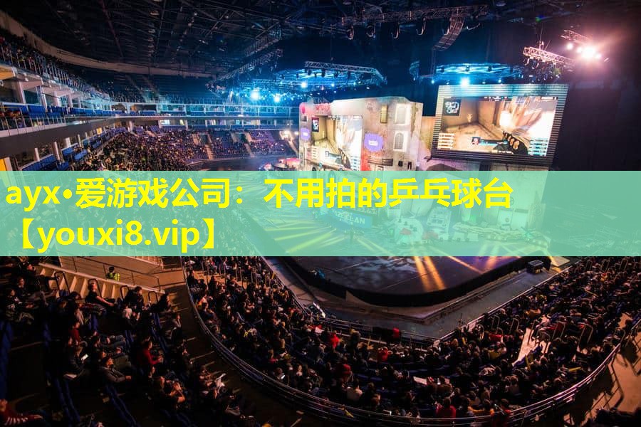 不用拍的乒乓球臺 不用拍的乒乓球臺