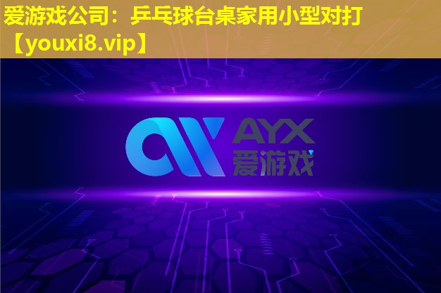 乒乓球臺桌家用小型對打 乒乓球臺桌家用小型對打