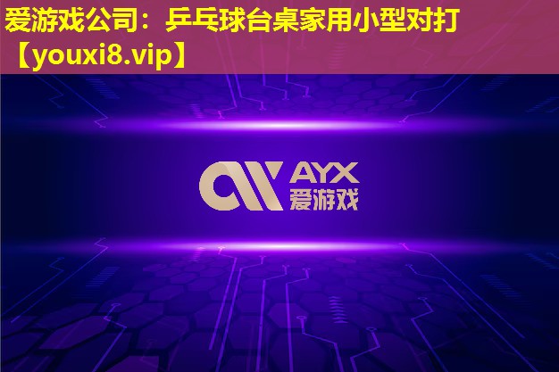 乒乓球臺桌家用小型對打 乒乓球臺桌家用小型對打