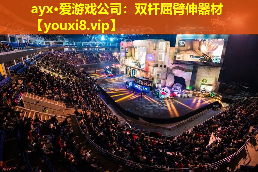 雙桿屈臂伸器材 雙桿屈臂伸器材