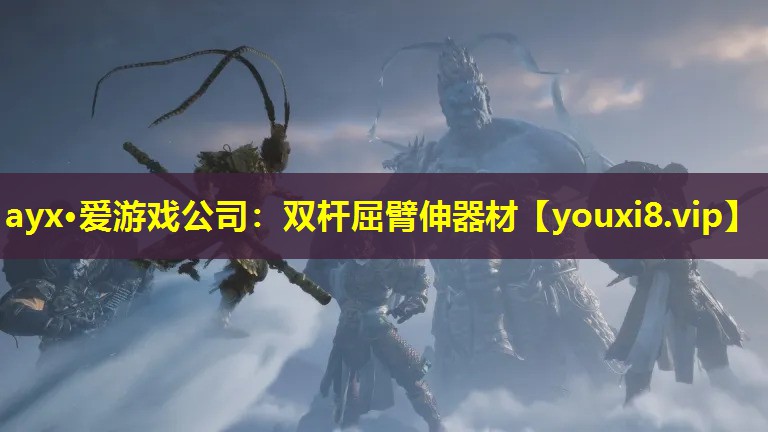 雙桿屈臂伸器材 雙桿屈臂伸器材