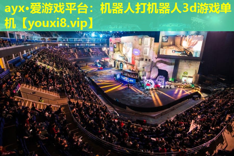 機器人打機器人3d游戲單機 機器人打機器人3d游戲單機